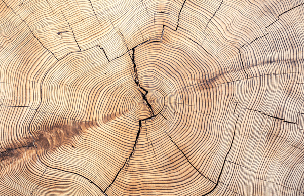 engagement environnement