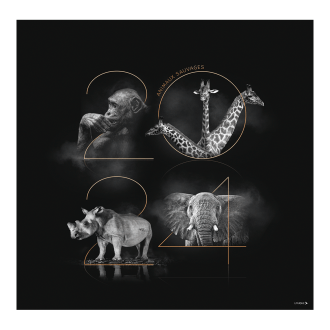 033 - ANIMAUX SAUVAGES