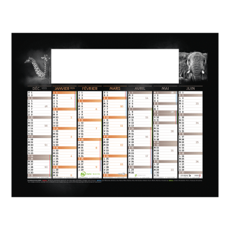 102 - MINI BQ  ANIMAUX SAUVAGES